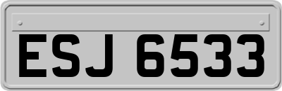 ESJ6533