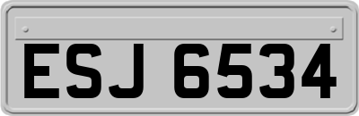 ESJ6534