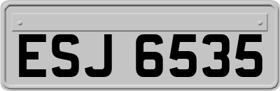 ESJ6535