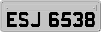 ESJ6538