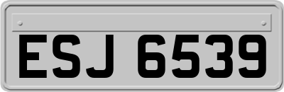 ESJ6539