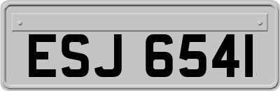 ESJ6541