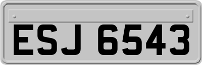 ESJ6543