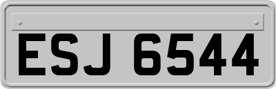 ESJ6544