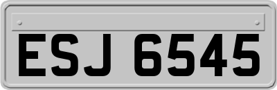 ESJ6545