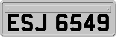ESJ6549