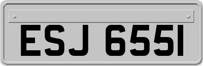 ESJ6551