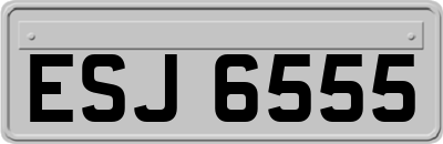 ESJ6555