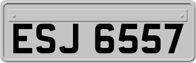 ESJ6557