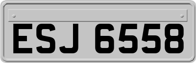 ESJ6558