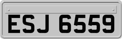 ESJ6559