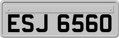ESJ6560