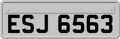 ESJ6563