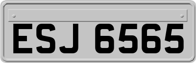 ESJ6565