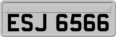 ESJ6566