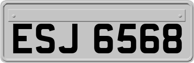 ESJ6568