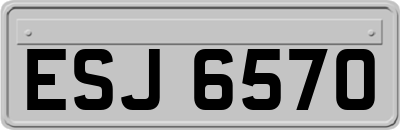 ESJ6570