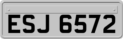 ESJ6572