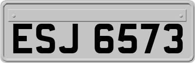 ESJ6573