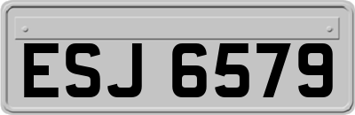 ESJ6579