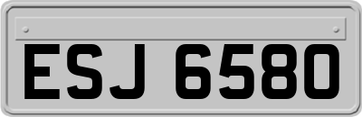ESJ6580