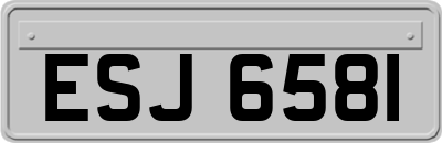ESJ6581