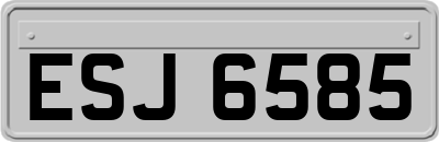 ESJ6585
