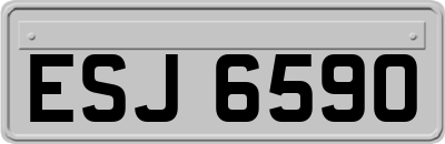 ESJ6590