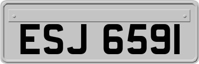 ESJ6591
