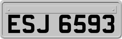 ESJ6593