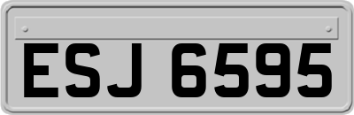 ESJ6595