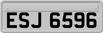 ESJ6596