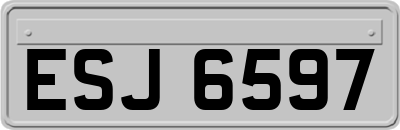 ESJ6597