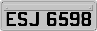 ESJ6598
