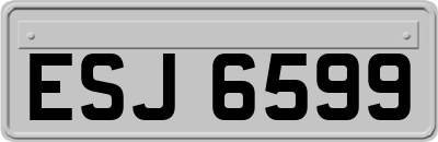 ESJ6599