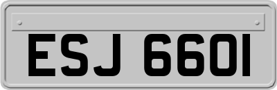 ESJ6601