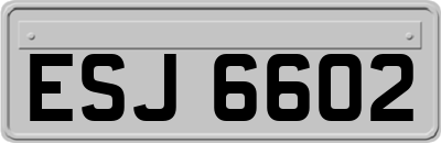 ESJ6602