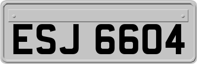 ESJ6604