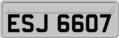 ESJ6607