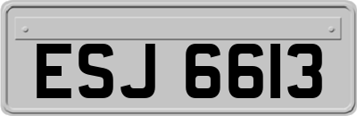 ESJ6613