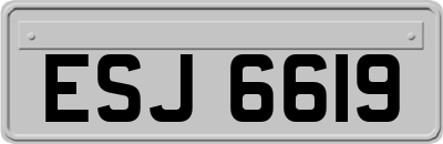 ESJ6619