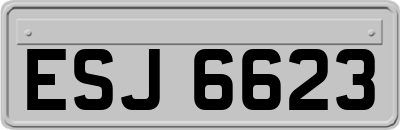 ESJ6623