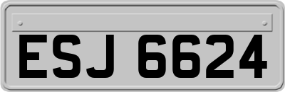 ESJ6624