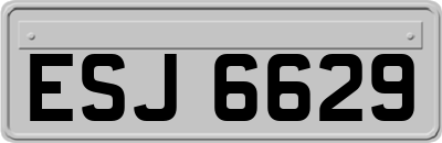 ESJ6629
