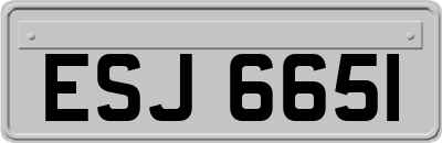 ESJ6651