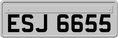 ESJ6655