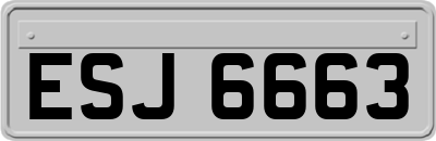 ESJ6663