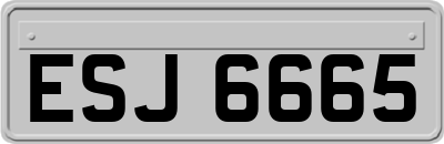 ESJ6665