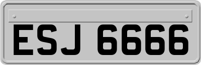 ESJ6666