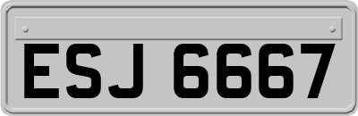 ESJ6667